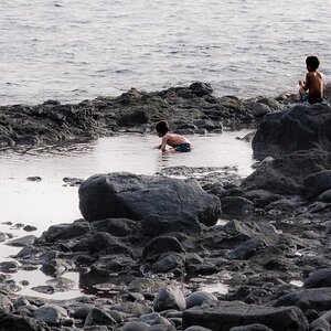 Olympus 50_18 202509-1.jpg