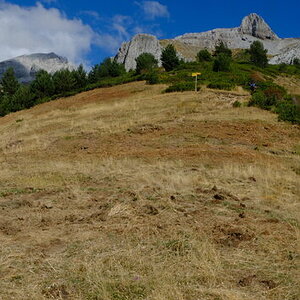DSCF5942.JPG