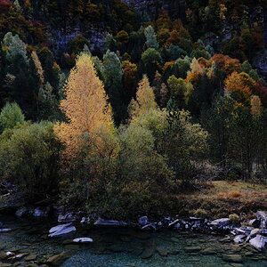 DSCF6030.JPG