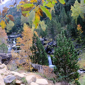 DSCF6034.JPG