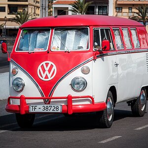 Olympus 100_28 202509-5.jpg