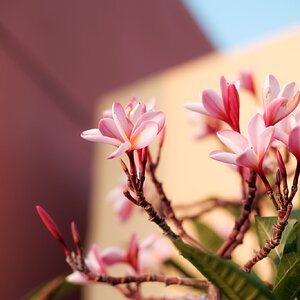 Fujinon 35mm 14 202509-2.jpg