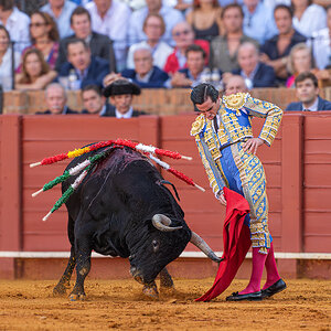 Media '20250926@185020_430TOROS  DE VICTORIANO DEL RIO EN LA MAESTRANZA -   JUAN ORTEGA TORO EBANISTA...jpg' in category 'Últimas fotos'