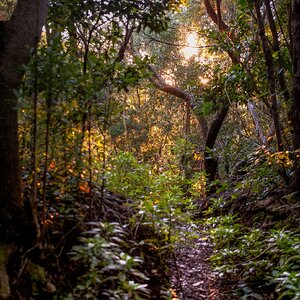 Olympus OM 85mm f2 - 102025-15.jpg