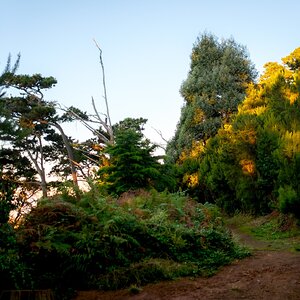 Olympus OM 85mm f2 - 102025-13.jpg