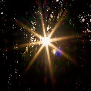 Olympus OM 85mm f2 - 102025-9.jpg