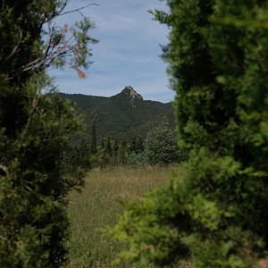 DSCF4280r.jpg