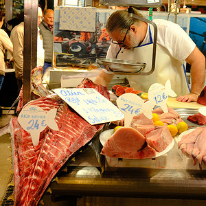 atun.jpg
