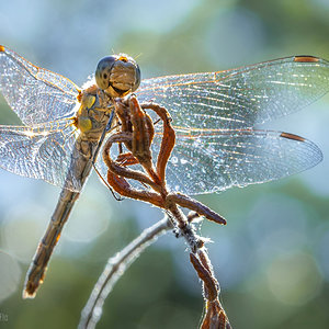 _KKY9629-Mejorado-NR.jpg