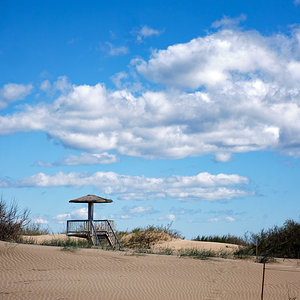 Delta del Ebro (9).jpg