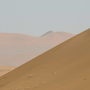 DSCF0514.jpg