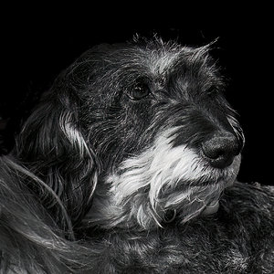 PRIN-DeNoiseAI-low-light.jpg
