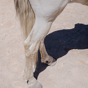 L1008855.jpg