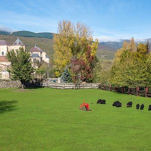 DSCF8168.jpg