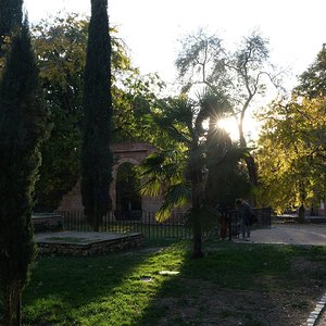 DSCF4876.jpg