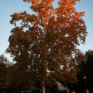 DSCF4902.jpg