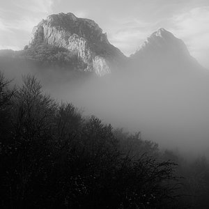L1000409.jpg