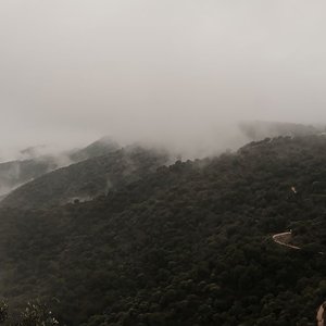 1701861639947-01.jpeg