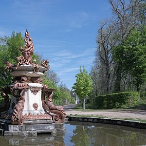 DSCF8320.jpg