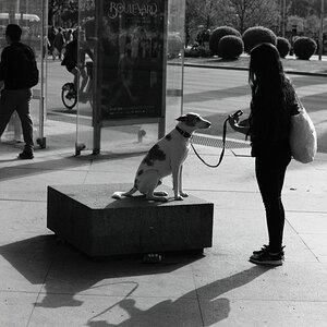 DSCF8211.jpg