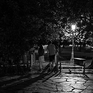 DSC_2763 Crop.jpg