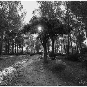 Cuando el Sol acaricia.jpg