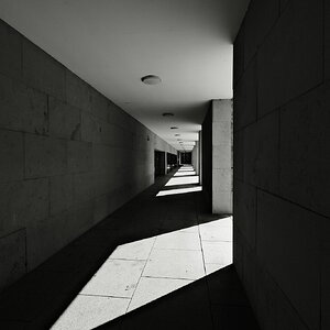 DSCF2894.JPG