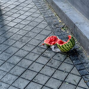 DSCF8709.jpg