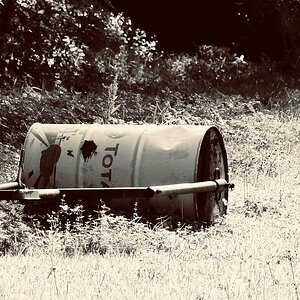 DSCF1601.jpg