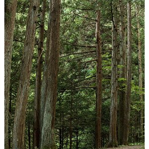 _X307028[DT].jpg