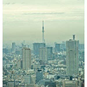 _X307354[DT].jpg
