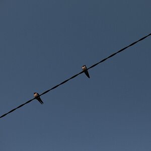 DSCF3051.jpg