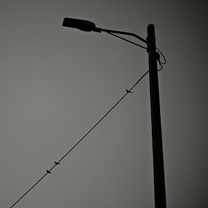 DSCF3050.jpg