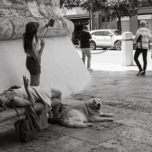 DSCF7211.jpg