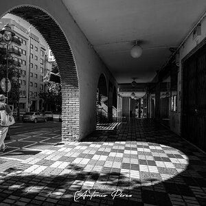 DSCF6945 BN_115155.jpg