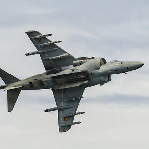 _X309066[DT].jpg