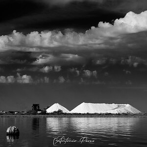 Salinas-(1).jpg