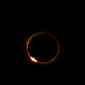 20260812-DSCF4928 (1).jpg
