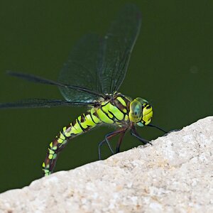 P1052686_.jpg