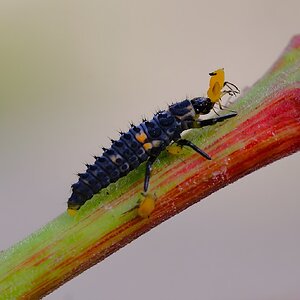 DSCF9070.JPG