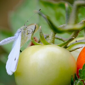 DSCF9018[2].JPG