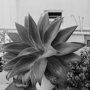 LM100700.JPG