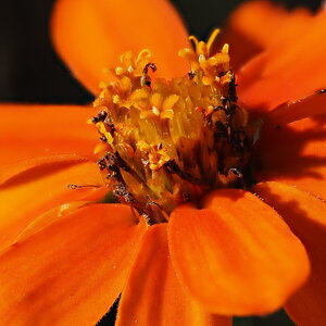 P9160163.JPG