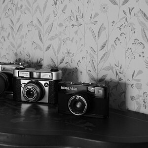 LM100850.jpg