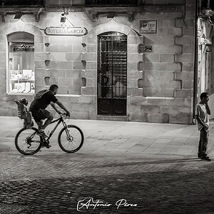 _DSF0788.jpg