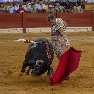 Manuel Escribano.jpg