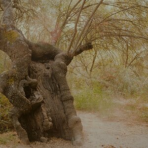 DSCF1671.jpg