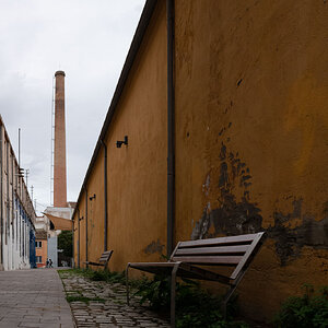 LM101429.jpg