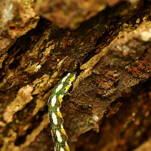 PA050750.JPG