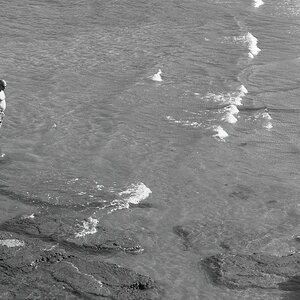 DSCF0771.jpg